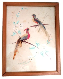 Unique Vintage Real Feathers Framed Art Pheasants 1948 - Picture 1 of 5