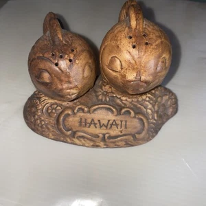 Vintage TIC USA Hawaii Souvenir Fish Salt & Pepper Shakers Set Wood Style Design - Picture 1 of 4