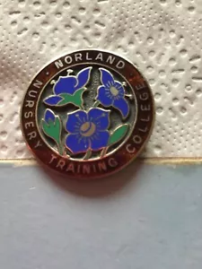 NORLAND Nursery Training College for NANNIES enamel badge (Barbara S. GODDARD) - Picture 1 of 2