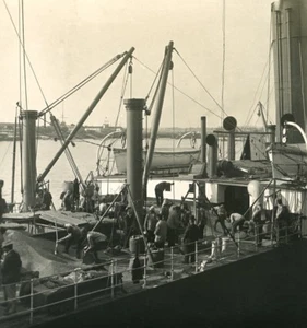 Belgien Hafen Antwerpen Schiffsverladung Getreide alt NPG Stereo Foto 1906 - Bild 1 von 3