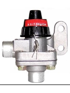 Protex Governor Valve (JA176) - Picture 1 of 12