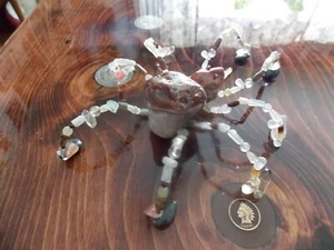 Specialty PET AGATE SPIDER, Genuine Pedigreed, ROCK BEADS Minions Stone, T- REX - Picture 1 of 18