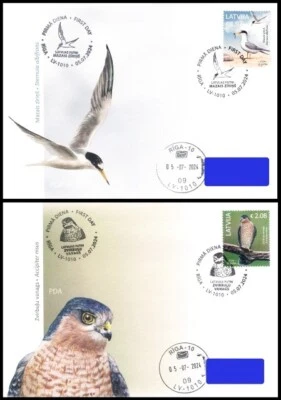 Latvia 2024 (11) - Birds of Latvia - Little Tern - Sparrowhawk (ad. FDC) - Image 1 of 3