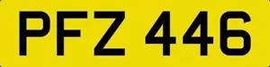 GEPFLEGTES PRIVATES NUMMERNSCHILD PFZ 446 DATUMSLOS PF REG PAUL PETE PAT PAM PHILIP - Bild 1 von 5