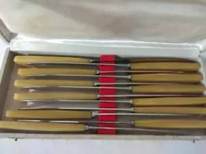 Juego de 12 cuchillos vintage PRADAL con mangos de hueso o baquelita Francia caja original - Imagen 1 de 1