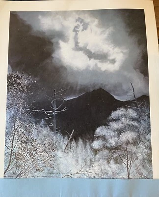 Prendas para el torso Larry Dodson Winter at Chimney IMPRESIÓN ORIGINAL Foto 1 de 4