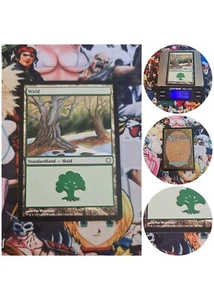 Magic the Gathering Forest ( V.1 ) Coldsnap Themendecks DE NM MTG Wald Snow - Bild 1 von 5