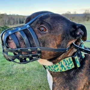 Bozal ligero de cuero real para perro para Staffordshire Bull Terrier Staffy, Stafford - Imagen 1 de 12