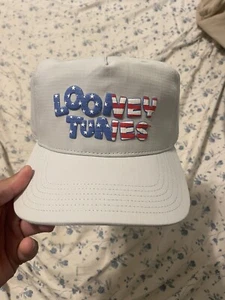 Looney Tunes Team USA SnapBack Mütze grau - Bild 1 von 10
