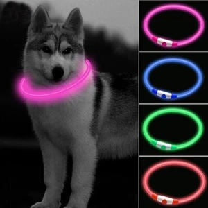 LED Leuchthalsband für Hunde USB Aufladbar - Bild 1 von 10