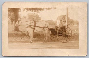 AK Pferd und Buggy Kutsche Männer Bauern Echtfoto RPPC - Bild 1 von 2