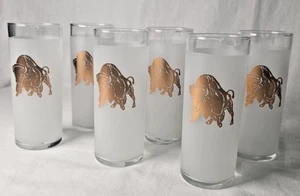 Libbey Glass Tumbler Gold Bison Buffalo Frosted Clear MCM High Ball Set of 6 - Picture 1 of 7