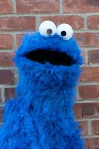 Cookie monster hand puppet - Picture 1 of 8