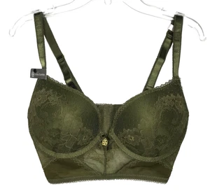 Daisy Fuentes Womens Long Line Bra 34C Green Lace Push Up Underwire Padded - Picture 1 of 14