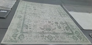 IVORY / SAGE 8'-0" x 10'-0" Back Stain Rug, Reduced Price 1172765904 ADR109V-8 - Picture 1 of 4