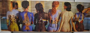 PINK FLOYD - BACK ART POSTER - 62x21 ALBUMS SEXY GIRLS - Picture 1 of 11