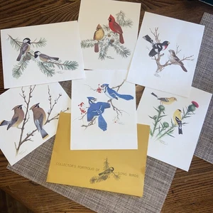 SET OF 6, COLLECTOR'S PORTFOLIO OF SONG BIRDS Sherm Pehrson📸SEE PICS📸 - Picture 1 of 9