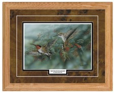 Ruby Throated Hummingbird by Gamini Ratnavaria Birds Art Print-Framed 21 x 17
