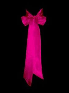 HOT PINK CERISE Satin Wedding Bridal Fancy Dress Party Ribbon Sash Tie Belt - Picture 1 of 11