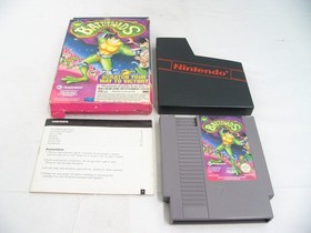 Boxed Nintendo Entertainment NES Battletoads - PAL
