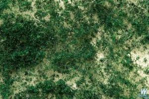 Bachmann "SceneScapes" 32608 Dark Green Medium Variable Density Foilage - Picture 1 of 1
