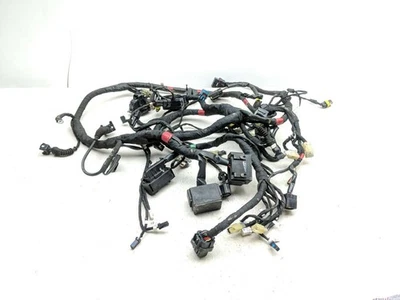 15 telar de arnés de cableado principal Ducati Monster 1200 S Foto 1 de 4