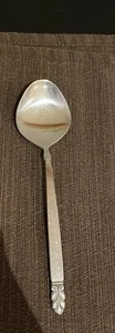 International Stainless Deluxe Norse Sugar Spoon - Picture 1 of 3