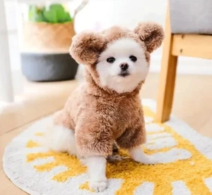 Cartoon Bear Embroidered Hooded Pet Hoodie, Teddy Bear Costume Size Medium - Picture 1 of 6