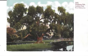 NUEVA POSTAL ORLEANS, LOUISIANA WASHINGTON ROBLE AUDUBON PARQUE - Imagen 1 de 2