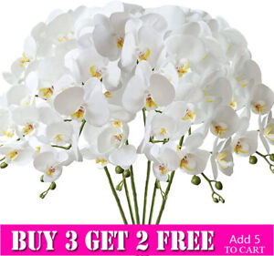 11 Heads Artificial Phalaenopsis Butterfly Orchid Flower Party  Grave Decor Home