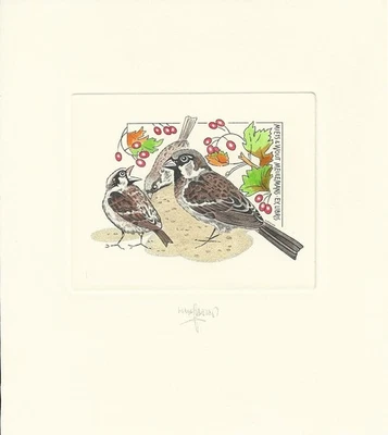 Exlibris  Konvolut Werner Pfeiler - Bild 1 von 4