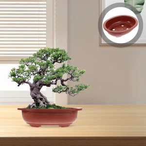 4 Stück Pflanzgefäße verdickt Blumentopf Pflanzkübel Bonsai Zubehör - Bild 1 von 12