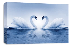 Framed Love Swans Wall Art Blue White Heart Large Canvas Picture Print - Picture 1 of 6