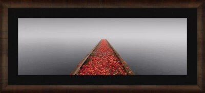 Marco forro negro cigarro Peter Lik edición limitada Secret Morning 644/950 1,5 m  Foto 1 de 4