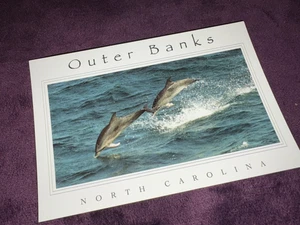 Postkarte, Folge dem Führer "OUTER BANKS NORTH CAROLINA" Vintage farbig ummantelt - Bild 1 von 3