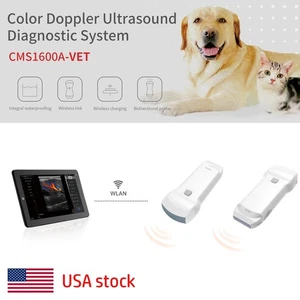 Handheld Dual-Probe Farbdoppler Ultraschall für Tierklinik CMS1600A-VET - Bild 1 von 18