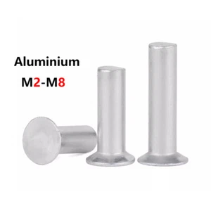 Remaches de cabeza contrahundidos de aluminio sólido M2 M3 M4 M5 M6 M8 DIN 661 - Imagen 1 de 6
