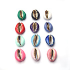 Perles de coquille de Cowrie - perles de coquille électroplaquées et revêtues d'émail - 12 couleurs