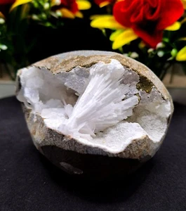 Natural Apophyllite Zeolite Crystal - Healing Energy - Collectible Specimen 231G - Picture 1 of 12
