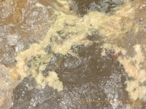 Russellit - Horni Slavkov, Erzgebirge - Picture 1 of 2