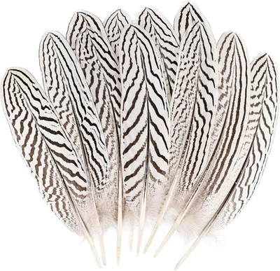 12 piezas plumas de faisán plateado a granel plumas naturales manchadas pluma de faisán para Foto 1 de 4
