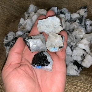 500 Carat Lots of Natural Rainbow Moonstone Rough + a Nice FREE faceted Gems - Picture 1 of 7