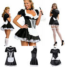 Maid Rocky Fancy Dress Costume Waitress Ladies French Horror Hen Party Halloween