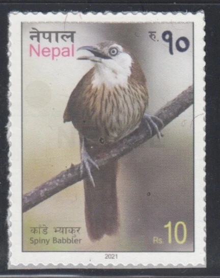 NePAL Spinal Babbler MNH邮票 — 第 1/1 张图片