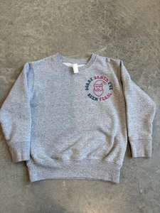 Girls Christmas Crewneck Sweatshirt - 4T - Sorry Santa, I’ve Been Naughty Theme - Picture 1 of 4