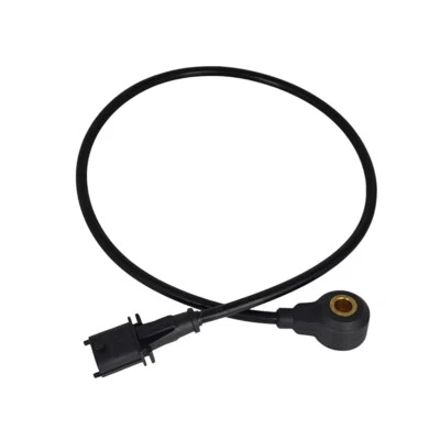 SENSOR DE DETONACIÓN 2410369 para Polaris Dragon RMK 800 Dragon Switchback 600 08-10 Foto 1 de 4