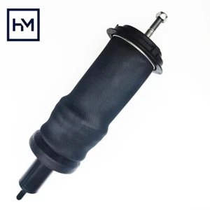 2955066 2621045 2392805 Cab Suspension Front Shock Absorber For Scania Trucks - Bild 1 von 6
