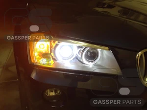 Para BMW X3 F25 2011-2017 Repuesto Viga Baja 2x D1S Bombillas Xenón Blanco 6000K - Imagen 1 de 8