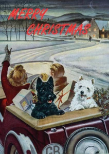 SCHOTTISCHER TERRIER WESTIE AUTO SCOTTIE HUND EINZELNER HUND DRUCK GRÜSSUNG WEIHNACHTSKARTE - Bild 1 von 1