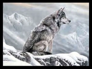 SCHWARZ GERAHMTER EINSAMER WOLF AUF SCHNEEBERG - 3D DRUCK 425mm x 325mm - Bild 1 von 2